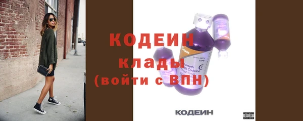 ГАЛЛЮЦИНОГЕННЫЕ ГРИБЫ Михайлов