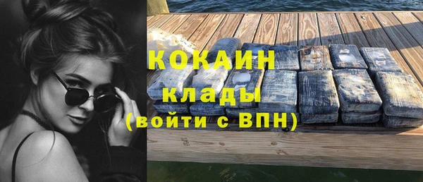 ГАЛЛЮЦИНОГЕННЫЕ ГРИБЫ Михайлов