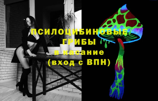 молекула духа Михайловка