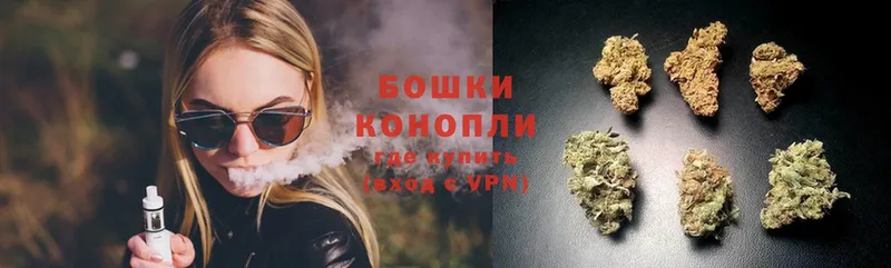 Бошки Шишки OG Kush  наркота  Инсар 